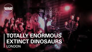 Photo of set Totally Enormous Extinct Dinosaurs.