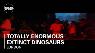 Photo of set Totally Enormous Extinct Dinosaurs 35 Min Mix.