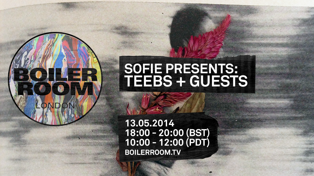 Sofie presents: Teebs flyer